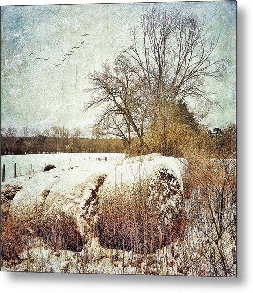 Photography Metal Print featuring the photograph Hay Bales In Snow by Melissa D Johnston