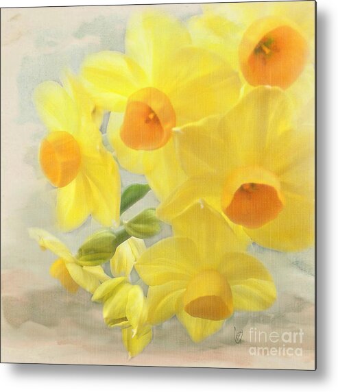 Spring Metal Print featuring the photograph Hello February by Cindy Garber Iverson