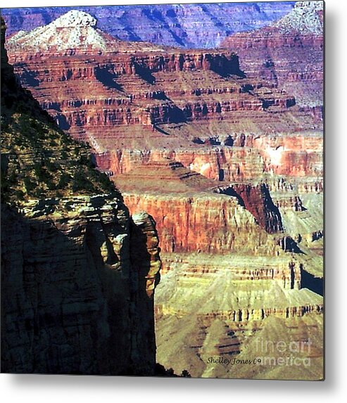 Photograph Metal Print featuring the photograph Heritage by Shelley Jones