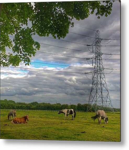 Horses Metal Print featuring the photograph #horse #hobby #horses #equine by Abbie Shores