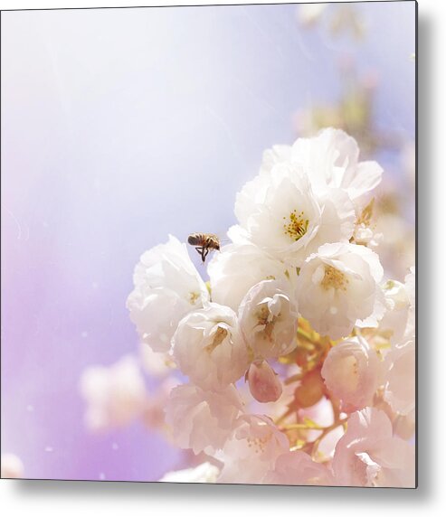 Animal Metal Print featuring the photograph Hovering bee by Helga Novelli