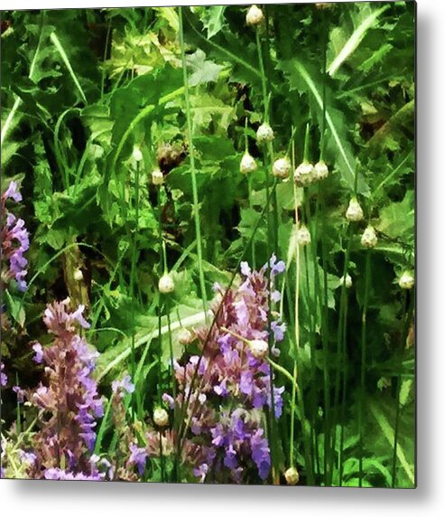 Garden Metal Print featuring the photograph I Was Taking This Photo In My Yard by Genevieve Esson