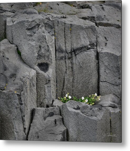 Iceland Metal Print featuring the photograph Iclandic Stone Serenade by Joe Bonita