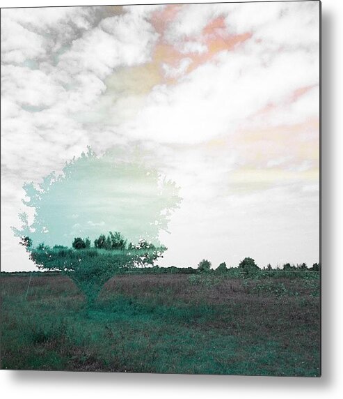 Lovely_tree_love Metal Print featuring the photograph if Nothing Ever Changed, There'd Be by Laura Tejedor