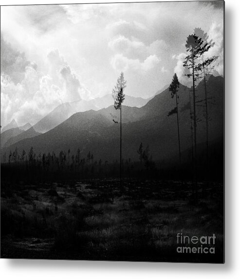 Black-white Metal Print featuring the photograph Impressions by Ang El