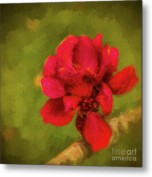 Impressionistic Metal Print featuring the photograph In Bloom by Dave Bosse