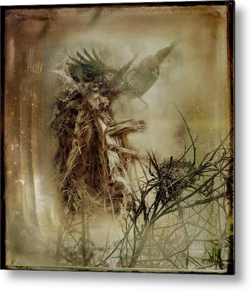 Woodlands Metal Print featuring the photograph In The Wildwood by Sue Capuano