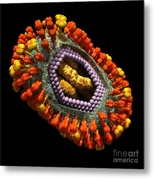 Biological Metal Print featuring the digital art Influenza Virus Cutaway 5 by Russell Kightley