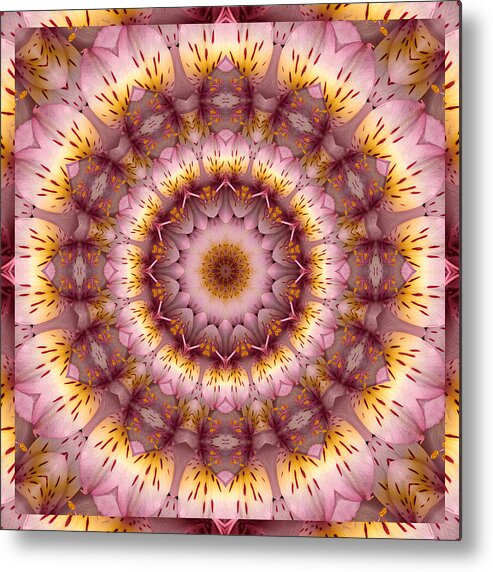 Mandalas Metal Print featuring the photograph Inspiration by Bell And Todd
