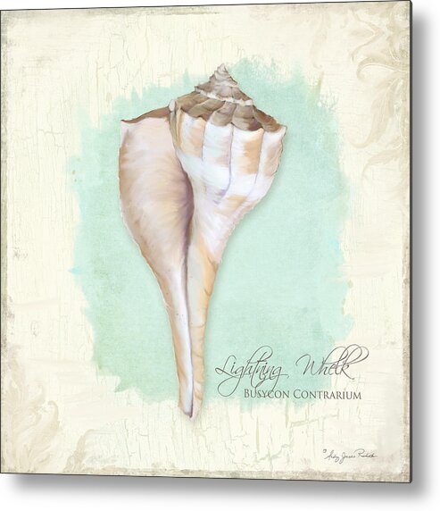Lightning Whelk Shell Metal Print featuring the painting Inspired Coast VII - Lightning Whelk Shell on Board by Audrey Jeanne Roberts
