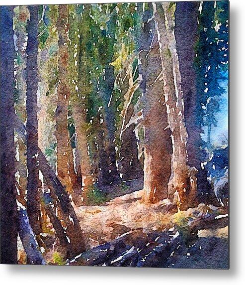 Close-up Metal Print featuring the photograph Into the Woods Again by Ronda Broatch