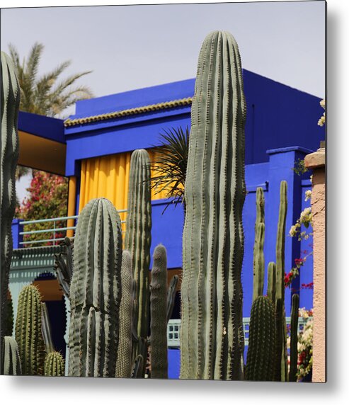 Jardin Majorelle Metal Print featuring the photograph Jardin Majorelle 5 by Andrew Fare