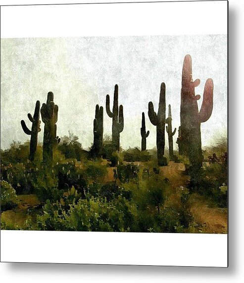 Arizonaartists Metal Print featuring the photograph Land Of The by Karyn Robinson