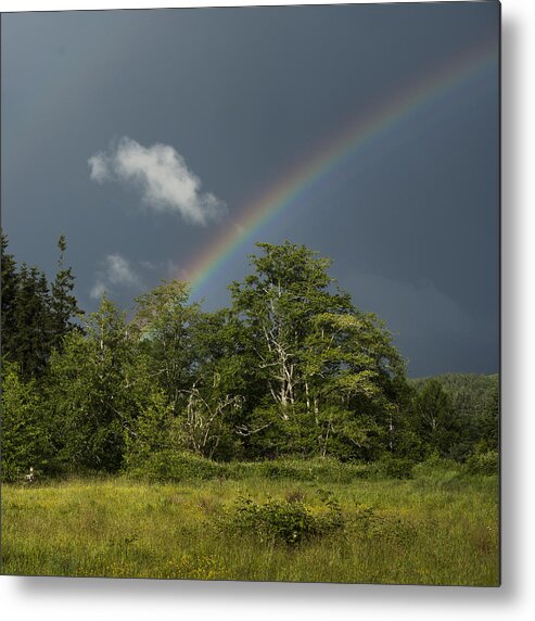 Astoria Metal Print featuring the photograph Lewis and Clark Rainbow by Robert Potts