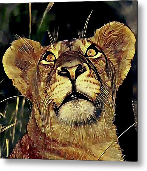 Lion Metal Print featuring the photograph Lion looking up by Gini Moore