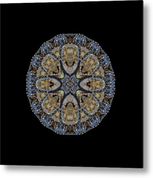 Mandala Metal Print featuring the digital art Log Priests Gathered Around Ghostly Face by Julia L Wright