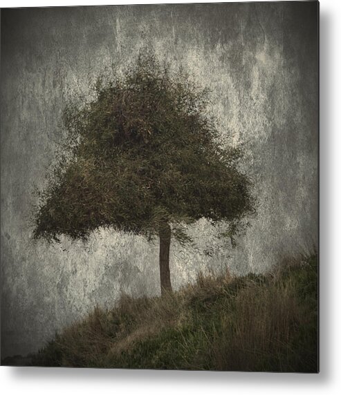 Alone Metal Print featuring the photograph Lonely Tree by Stelios Kleanthous