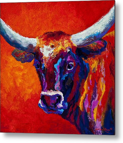 Longhorn Metal Poster featuring the painting Longhorn Steer by Marion Rose
