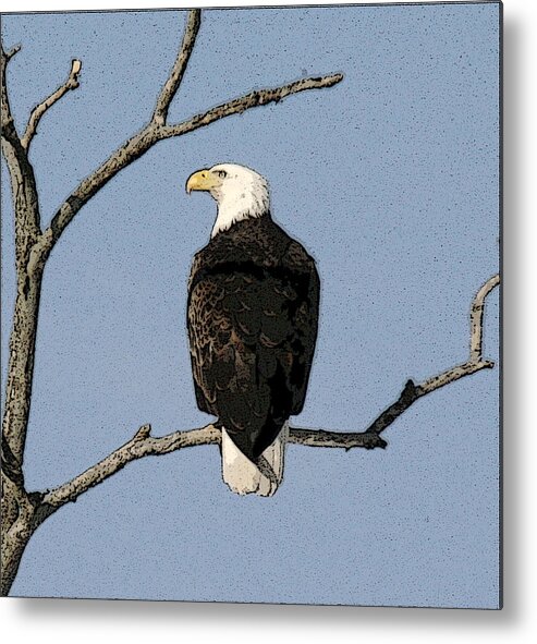 Eagle Metal Print featuring the photograph Look Out by Robert Pearson