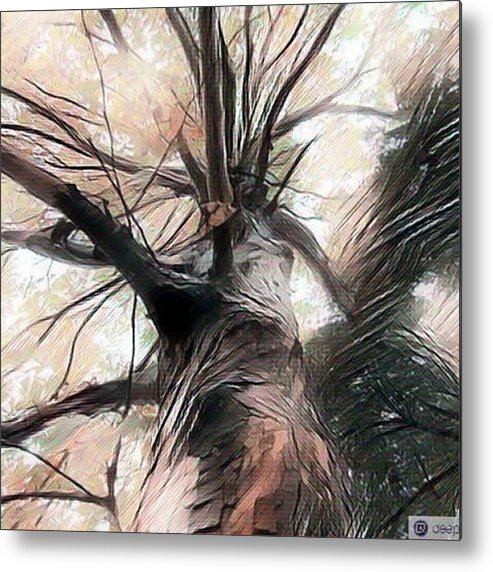 Digitalart Metal Print featuring the photograph Lookin Up The Tree #digitalart by Dx Works