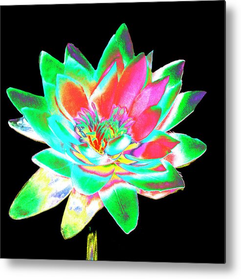 Flowers Metal Print featuring the photograph Lotus 4 by Ann Tracy