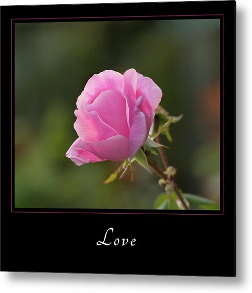 Inspiration Metal Print featuring the photograph Love 2 by Mary Jo Allen