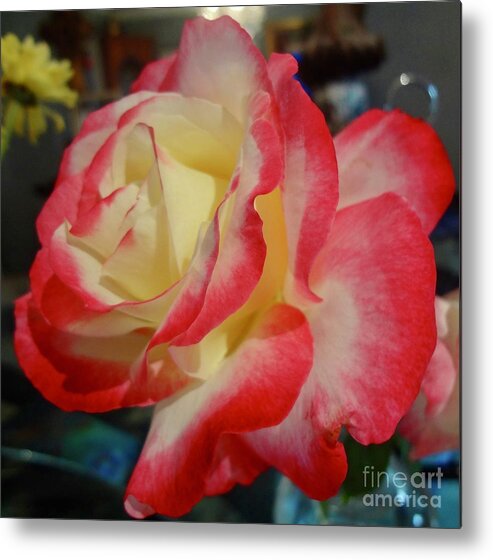 Rose Metal Print featuring the painting Lovely Rose by Jenny Lee