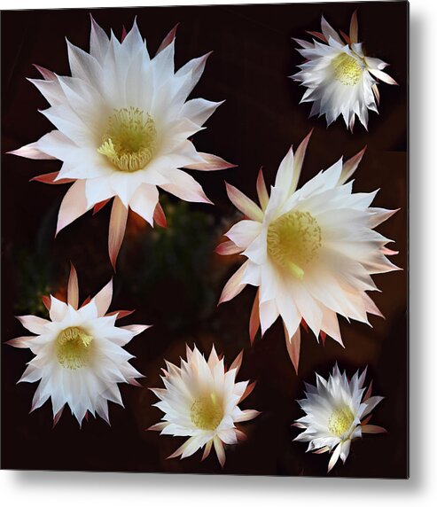 Magical Metal Print featuring the photograph Magical Flower by Gina Dsgn