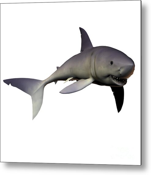 Mako Shark Metal Print featuring the digital art Mako Shark by Corey Ford