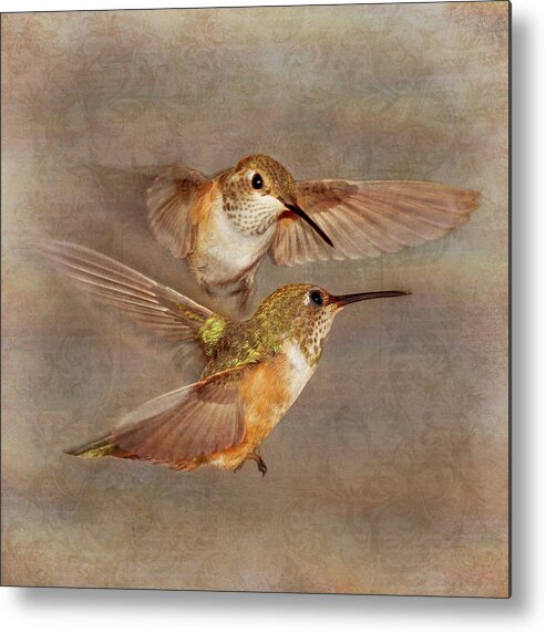 Hummingbirds Metal Print featuring the photograph Mid-Flight I by Leda Robertson
