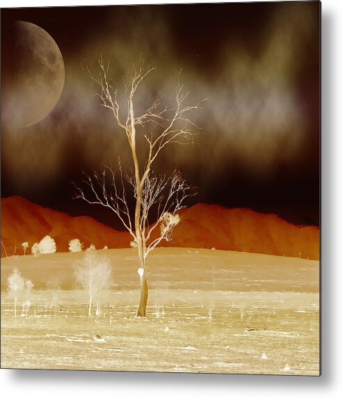 Landscapes Metal Print featuring the photograph Midnight Vogue by Holly Kempe