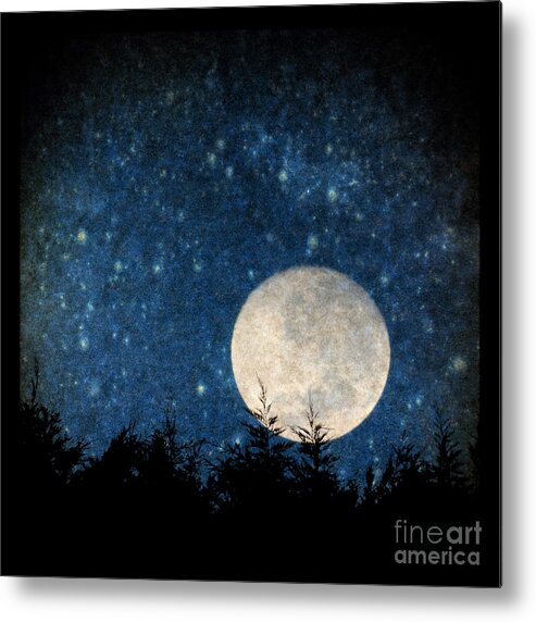 Moon Metal Print featuring the photograph Moon, tree and stars by Clayton Bastiani