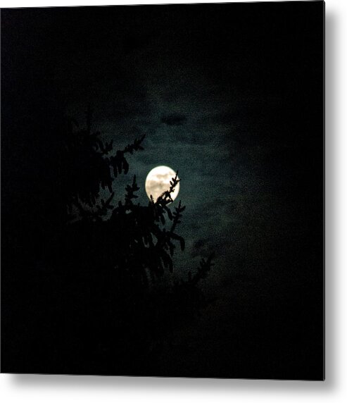  Metal Print featuring the photograph Moonlight by Carol Eliassen