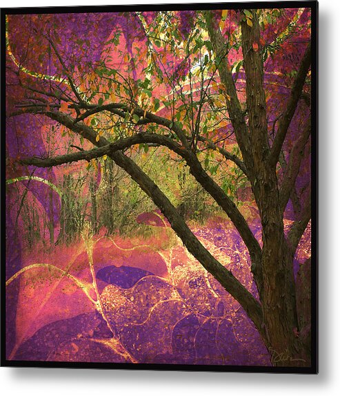 Trees Metal Print featuring the photograph Mystic Forest by Peggy Dietz