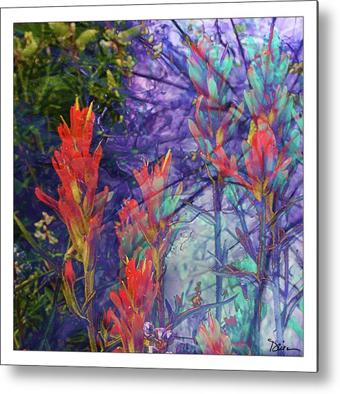 Indian Paintbrush Metal Print featuring the photograph Mystic by Peggy Dietz