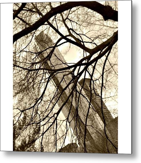 Naked Trees Are Sexy As Fuck #cityscape Metal Print by Regina Garcia Santaella image