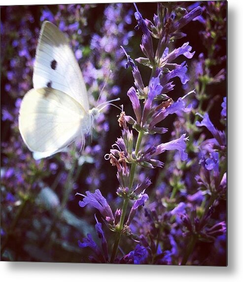 Landingzone Metal Print featuring the photograph #natureiswaiting #gooutside by Katie Cupcakes