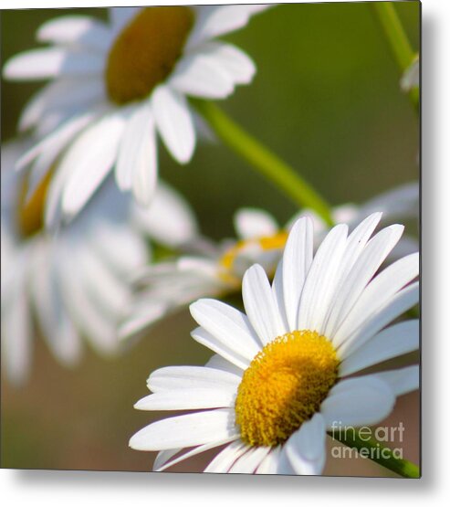 Yellow Metal Print featuring the photograph Nature's Beauty 58 by Deena Withycombe