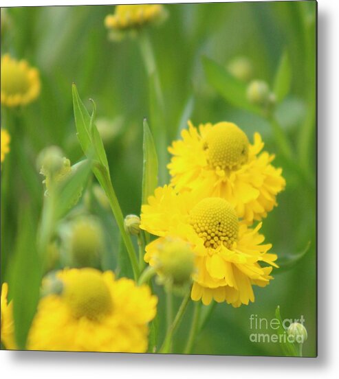 Yellow Metal Print featuring the photograph Nature's Beauty 93 by Deena Withycombe