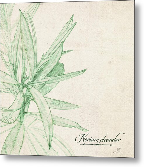 Botanical Sketch Metal Print featuring the digital art Nerium oleander by Gina Harrison