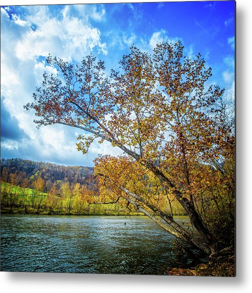 Landscape Metal Print featuring the photograph New River in Fall by Joe Shrader