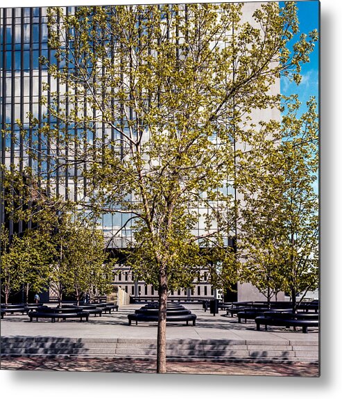Minneapolis Metal Print featuring the photograph Trees on Fed plaza by Mike Evangelist