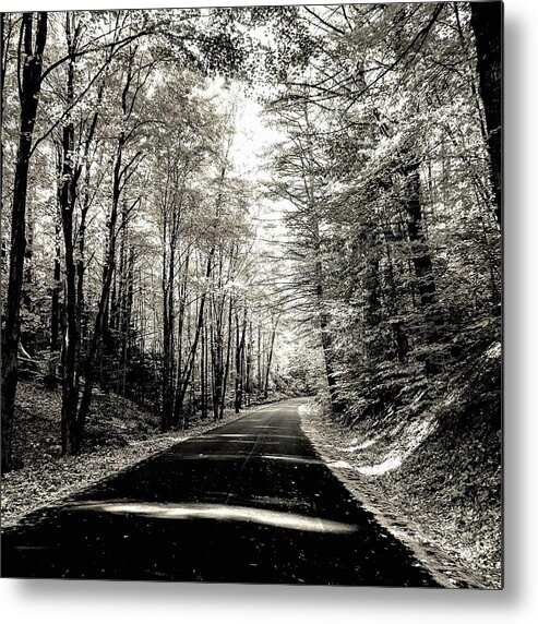  Metal Print featuring the photograph October Grayscale by Kendall McKernon