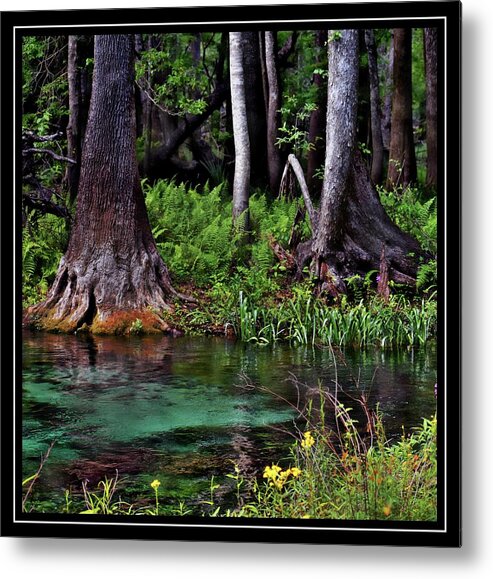 Blue Springs Metal Print featuring the photograph Oh So Blue by Sheri McLeroy