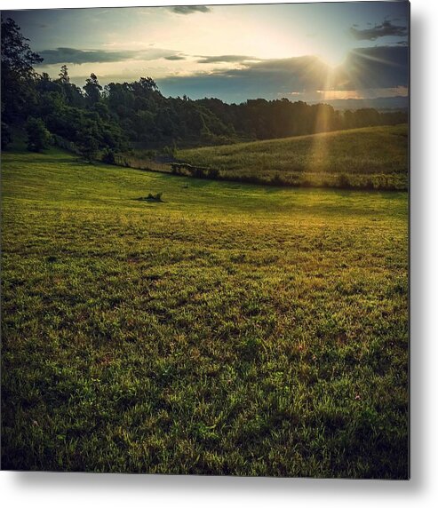  Metal Print featuring the photograph Oh what a beautiful morning by Kendall McKernon