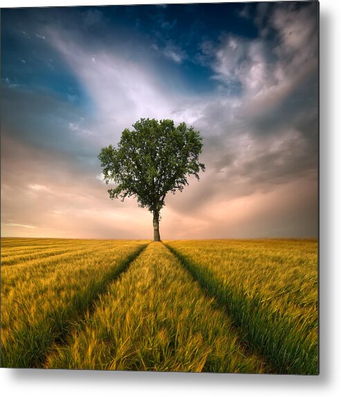 Tree Metal Print featuring the photograph One by Piotr Krol (bax)