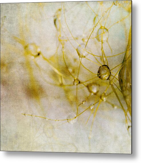 Abstract Metal Print featuring the photograph Opus No. 2 by Ryan Weddle