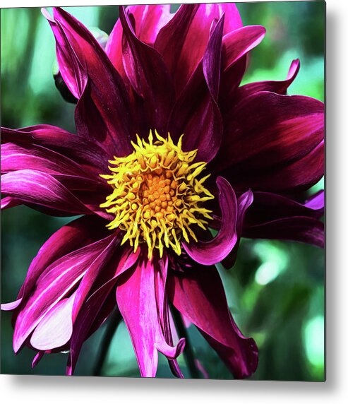 Flower Metal Print featuring the photograph Organized But Messy by Jessica Manelis