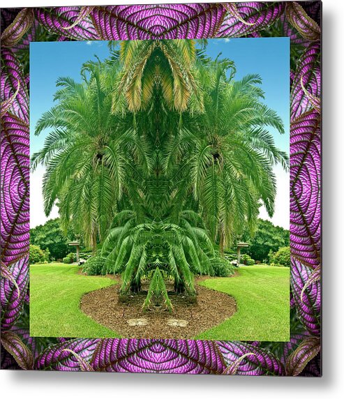 Nature Photography Metal Print featuring the photograph Palm Tree Ally by Bell And Todd