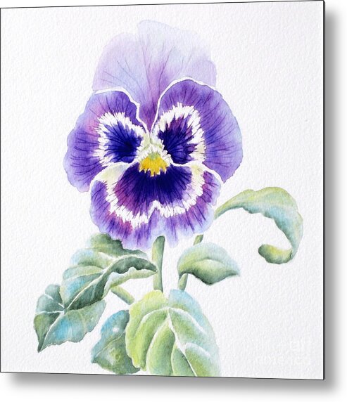 Pansy Metal Print featuring the painting Pansy by Deborah Ronglien